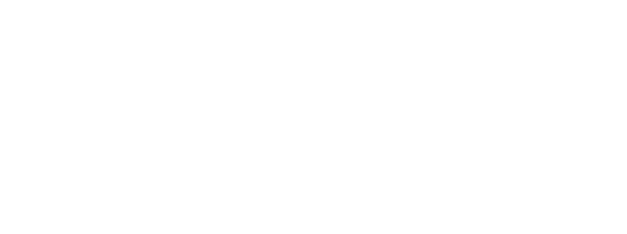 Logo blanco de Alinsa sin fondo
